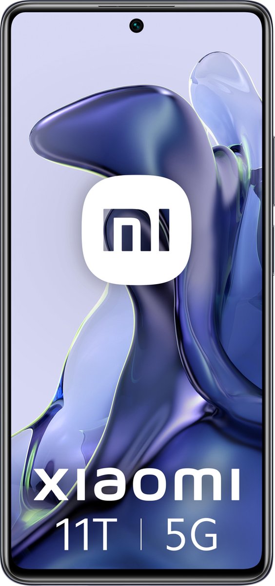 Xiaomi 11T (21081111RG)